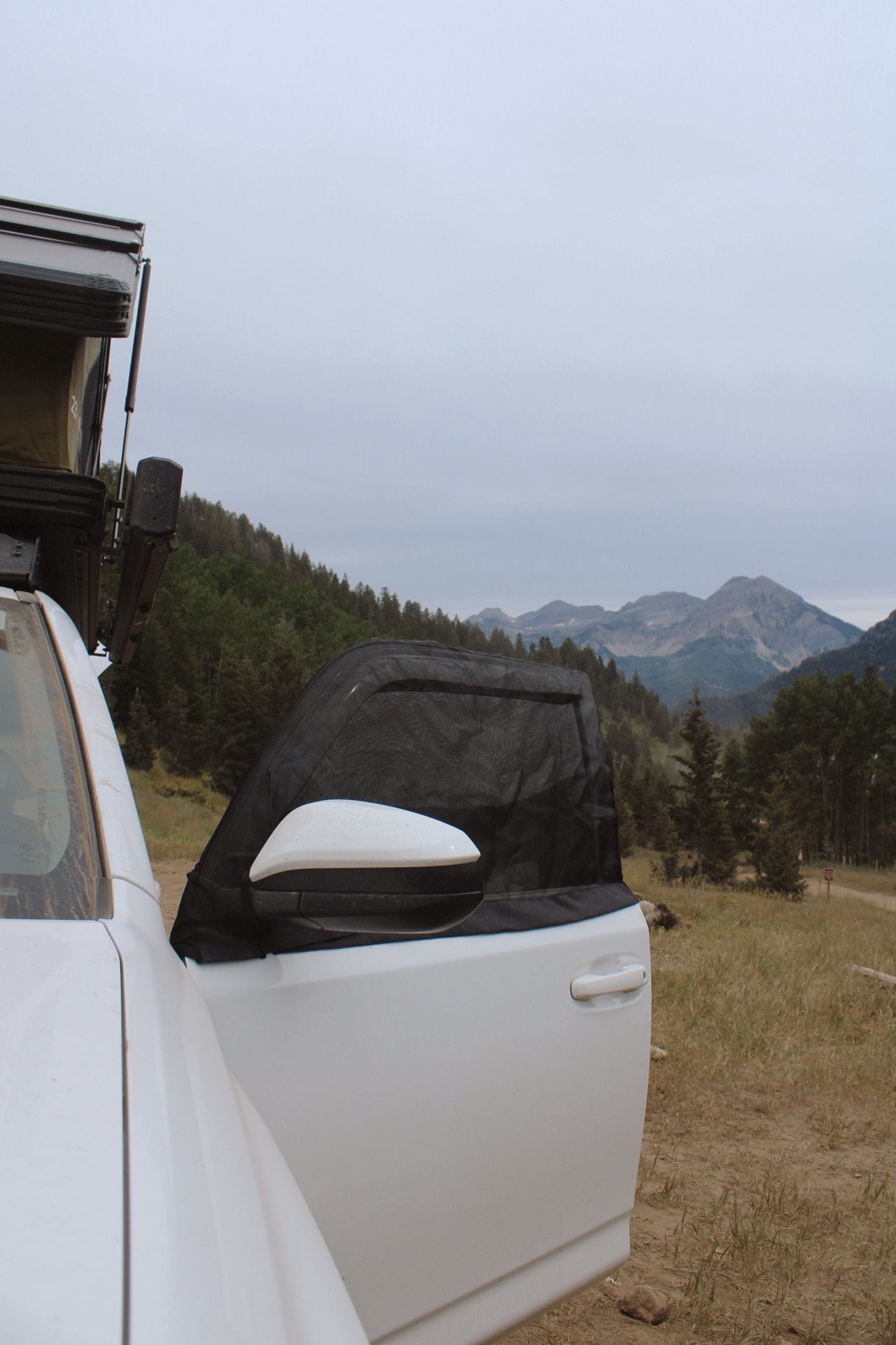 4Runner 5th Gen Bug Screens