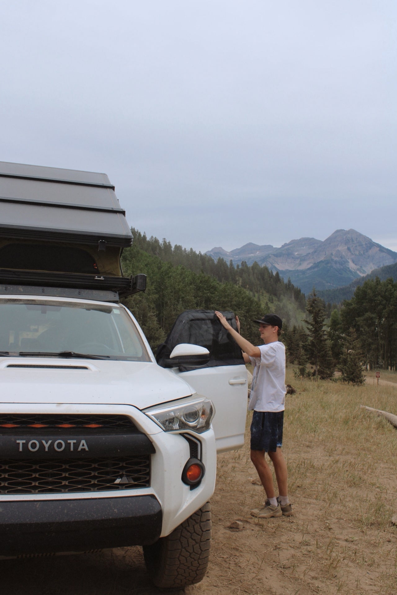 4Runner 5th Gen Bug Screens