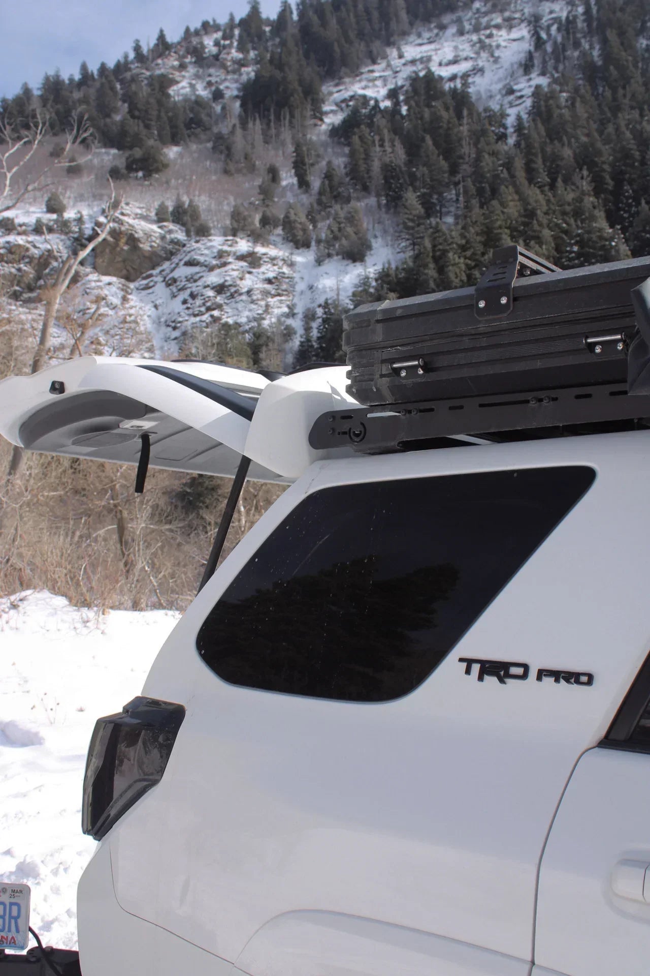 4Runner 5th Gen Window Covers - REAR BUNDLE - Solid Wood Worx