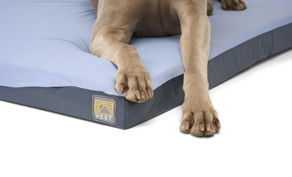 HEST Dog Bed - Solid Wood Worx